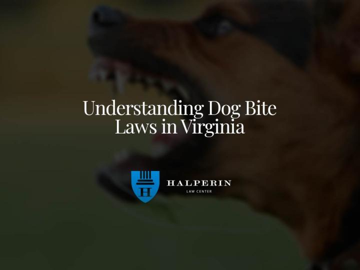 Understanding Dog Bite Laws in Virginia - Blog View - Law Referral Connect